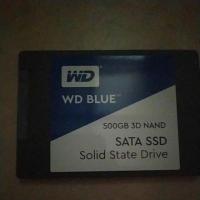 ราคา SSD WD Blue 500GB มีประกัน (7107690068)
