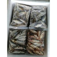 ราคา ปลาข้างเหลืองสดแช่แข็ง 1 กิโลกรัม ✅ (4365419309)