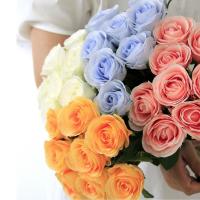 ราคา ดอกไม้ปลอม ดอกไม้ประดิษฐ์ กุหลาบปลอม ดอกกุหลาบปลอม ตกแต่งดอกไม้ ดอกไม้ประดิษฐ์ดอกกุหลาบ Rose 11 ชิ้น (28303662527)