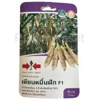 ราคา ข้าวโพดเทียนหมื่นฝัก ข้าวโพดข้าวเหนียวลูกผสม ตราศรแดง F1 (17668343293)
