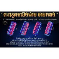 ราคา ตะกรุดหญิงพ่าย ชายหลง รุ่น “หนุนดวงมหาเศรษฐี “ (8923116867)