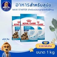 ราคา Royal Canin Maxi Starter Mother & Babydog 1kg. (2076165601)