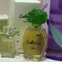 ราคา น้ำหอม Cabotine De Gres EDT 100ml (2130688159)