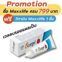 ราคา Maxxlife Scargel 10 g. (26203685649)