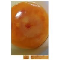 ราคา ไข่ไก่มีเชื้อฟักได้ 4ฟองไก่ไข่พ่อพันธุ์ไก่กระดูกดำภูพาน (9172668733)