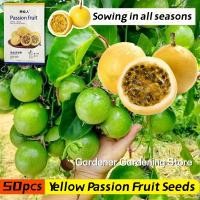 ราคา อัตรางอกสูง! เมล็ดพันธุ์ เสาวรส สีเหลือง 50 เมล็ด Yellow Passion Fruit Seeds ผลไม้เสาวรส เมล็ดเสาวรส F1 เมล็ดผลไม้ (27960464034)