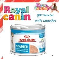 ราคา Royal Canin Starter Mousse (ลูกหมา/หมาป่วย/แม่หมา) สตาร์ทเตอร์มูส 195g 12 กระป๋อง สตาร์ทเตอร์ มูส (19177845254)