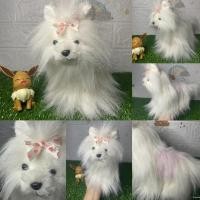 ราคา ตุ๊กตาน้องหมายอร์กกี้ ขาวขนฟู ขนสวย งานสัตว์เหมือน หายาก GANZ Webkinz Original White Pink Yorkie Yorkshire Terrier (20027884951)