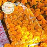 ราคา ดาวเรืองดอกสด - ไซต์เล็ก (ถุงละ 100 ดอก) (10304677100)