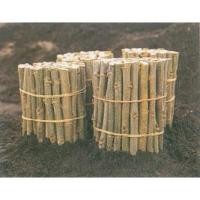 ราคา กิ่งหม่อนพันธุ์พื่นบ้านจากสวนที่เชียงราย Mulberry มัลเบอร์รี่,กิ่งหม่อน,ต้นหม่อน กิ่งละ10บาทไม่มีรากนะคะเอาไปชำเองได้ (8106606046)