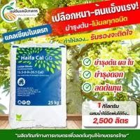 ราคา ปุ๋ย 15-0-0+26.5CaO แคลเซียมไนเตรท แบ่งบรรจุ 1 กิโลกรัม Haifa-CAL แบ่งบรรจุมาจากกระสอบใหญ่ (20902295713)