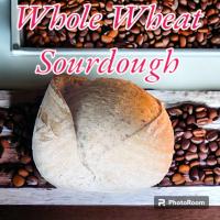 ราคา Homemade Whole Wheat Sourdough 500 g ขนมปังโฮลวีทซาวโดว์ 500 กรัม (24091654420)