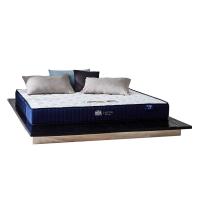 ราคา SB Design Square ที่นอน LOTUS รุ่น CALIFORNIA 8" 3.5 ฟุต แถมฟรี หมอนหนุน 1 ใบ (25607987408)