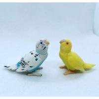 ราคา กาชาปอง นกลูกป้อน​ หายาก!!​(Rare) (20751497276)