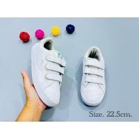 ราคา รองเท้าผ้าใบ รองเท้าพละ FILA แท้100% มือสอง สภาพ99% พร้อมส่ง‼️ (26268516165)