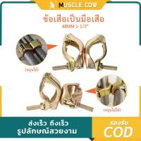 ราคา MUSCLE COW ข้อเสือ นั่งร้าน ข้อเสือเป็น ข้อเสือตาย ข้อเป็น ข้อตาย 1 นิ้วครึ่ง x 2 นิ้ว (48x60mm.) (44407013049)