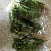 ราคา ตำแยแมวสดล้างราก 3 ต้น 25 บาท (3317318345)