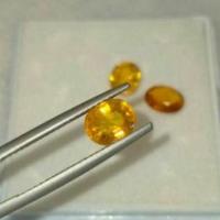 ราคา พลอยบุษราคัม สีเหลือง Yellow Sapphire ไข่ 7×5.6 mm. 1.35กะรัต เหมาะทำฝังพลอยเม็ดเดี่ยว แหวนพลอย จี้พลอย พลอยแท้ธรรมชาติ (9022862978)