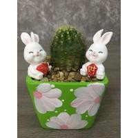 ราคา ตุ๊กตากระต่ายมงคล ตุ๊กตาเรซิ่นจิ๋ว ตุ๊กตาแต่งสวน กระถาง (16994538747)