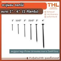 ราคา ตะปูขาว ตะปูเหลี่ยม (1กิโลกรัม) ขนาด 1.1/2", 2", 2.1/2", 3", 4" ตะปูหัวเหลี่ยม ตะปูตอกเรือ (18060638026)