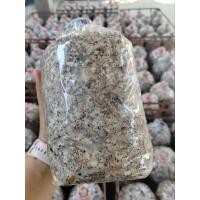 ราคา เชื้อเห็ดฟาง เชื้อเดินสวยพร้อมเพาะแถมฟรีคู่มือเพาะออกดอกเยอะ (27302245280)