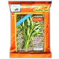 ราคา ผักบุ้งจีน ผักบุ้งใบใหญ่ ต้นอวบ ถุงใหญ่ ขนาด 1 กิโลกรัม ตราปลาทอง พันธุ์ผสมเปิดทั่วไป (44406496069)