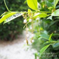 ราคา ต่างหูมุกยาว แบบหนีบ (1053014053)