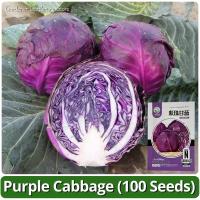 ราคา เมล็ดพันธุ์ กะหล่ำปลี ม่วง 100 เมล็ด Purple Cabbage Seeds เมล็ดพันธุ์แท้ แท้ เมล็ดกะหล่ำปลี เมล็ดพันธุ์ผัก ผักสวนครัว (26260459583)