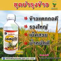 ราคา เอสมิโน1ลิตร เพิ่มการผสมเกสร ขั้วเหนียว ติดผลดก ลูกโต ลดการหลุดร่วง ป้องกันผลแตก ขยายขนาดผล คูลเกษตร (18220980895)