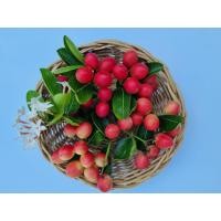 ราคา มะม่วงหาวมะนาวโห่ผลสด1กิโลกรัม (27337805612)