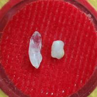 ราคา พระธาตุ พระพุทไธศวรรย์วรคุณ (หลวงปู่หวล ภูริภัทโท ) เจ้าอาวาสวัดพุทไธศวรรย์ (รหัส D6/6) (24934434011)