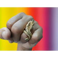 ราคา #แหวน#แหวนทองเหลือง#พญานาค #แหวนพญานาค 7 เศียร ทองเหลืองแท้ 100 % ปรับขนาดได้ตามขนาดนิ้วค่ะ (7695834447)