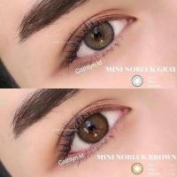 ราคา ค่าสายตา -5.50 ถึง -10.00 Dream Color1 Mini Nobluk(Gray,Brown) (7160466917)