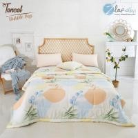 ราคา Zleepsleep : ผ้าห่มเนื้อผ้าเทนเซล (Tencel Duvet) (3254865167)