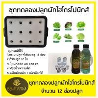 ราคา ชุดทดลองปลูกผักไฮโดรโปนิกส์ ปลูกผักไร้ดิน 12 ช่อง (สำหรับมือใหม่) (12498077502)
