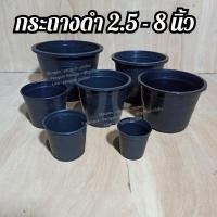 ราคา กระถางพลาสติก 2.5นิ้ว 3นิ้ว 4นิ้ว 5นิ้ว 5.5นิ้ว 6นิ้ว 8นิ้ว ดำกลม กระถางกระบองเพชร กระถางแคตตัส กระถาง (4388814882)