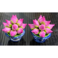 ราคา ดอกบัวตูมสีชมพู ขนาดจิ๋ว จัดวางบนพานเซรามิค ขนาด 2 นิ้ว (22874526533)
