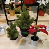 ราคา IKEA,แท้,ต้นคริสต์มาสอิเกีย,อีเกีย, ikea,ดอกคริสต์มาส, Christmas, ikea,ต้นไม้ประดิษฐ์อิเกีย,ต้นไม้ปลอม,ดอกไม้ปลอม (23213776936)