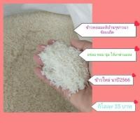 ราคา ข้าวหอมมะลิ ชาวนา ร้อยเอ็ด 5 กิโลกรัม นาปี 2566 (24762687958)