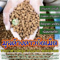 ราคา มูลค้างคาวอัดเม็ดอย่างดี 1 กิโล ขี้ค้างคาวอัดเม็ด ธาตุอาหารสูง เร่งดอกแตกตาผลดก ปุ๋ยคอก ปุ๋ยอินทรี ปุ๋ยหมัก ปุ๋ยอัดเม็ด (22452411878)