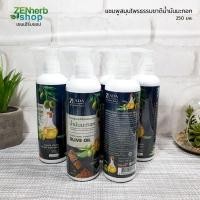 ราคา แชมพูน้ำมันมะกอก 250 มล. ษีฎาสมุนไพรพื้นบ้าน #เส้นผมแข็งแรง #ผมมีน้ำหนัก (8438178586)