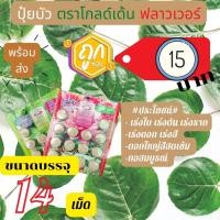 ราคา ปุ๋ยบัว ตราโกลด์เด้น ฟลาวเวอร์ ปุ๋ยบอน ปุ๋ยบอนสี ปุ๋ยไม้น้ำ Golden Flowers 14 เม็ด (17312691509)