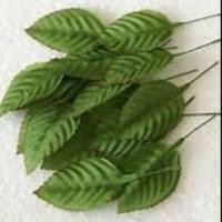 ราคา ใบกุหลาบ ใบไม้ปลอม มีหลายขนาด (953776439)