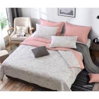 ราคา SANTAS ชุดเครื่องนอน ดีไซน์ LANTERN 6 ฟุต 6 ชิ้น ทอ 350 เส้นด้าย (18300574748)