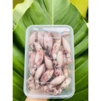 ราคา กะตอยต้อมแดดเดียว(สดๆใหม่ๆ) แม่ประยูรอาหารทะเลแห้ง (ขนาด 500g) 280บาท (10961676099)