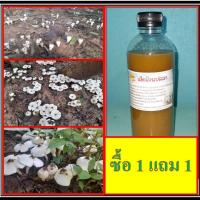 ราคา เชื้้อเห็ดโคนปลวก ซื้อ 1 แถม 1 ขวด ขนาด 500 มล. เชื้อเห็ดโคนปลวกเข้มข้น (29338632195)