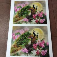 ราคา (ได้2ภาพ) นกยูงคู่ ดอกโบตั๋น 16x20 นิ้ว (40x50ซม.) ม้า เป็นสัญลักษณ์ ของความกล้า ความขยัน ความรวดเร็ว ว่องไว (4264512013)