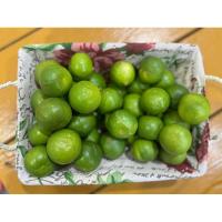 ราคา มะนาวแป้นรำไพ 5 กิโลส่งไวสดจากสวนเบอร์ใหญ่ (28577884311)