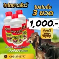 ราคา ส่งฟรี ‼️ เซตขายดีที่สุด 3 ขวด 1000 บาท หงส์ทองไคโตซาน (ฝาแดง) สูตร อ้วนไว ผสมติดง่าย เป็นสัดชัดเจน !! ขนาด 1 ลิตร (15892948010)