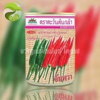 ราคา พริก อัมพวา ตราตะวันต้นกล้า (16157606443)